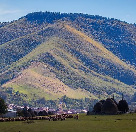 Picturesque Village In Transylvania Răşinari Oda fotoğraf