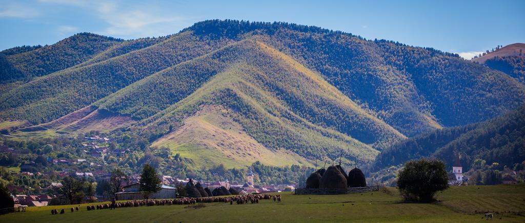 Picturesque Village In Transylvania Răşinari Oda fotoğraf