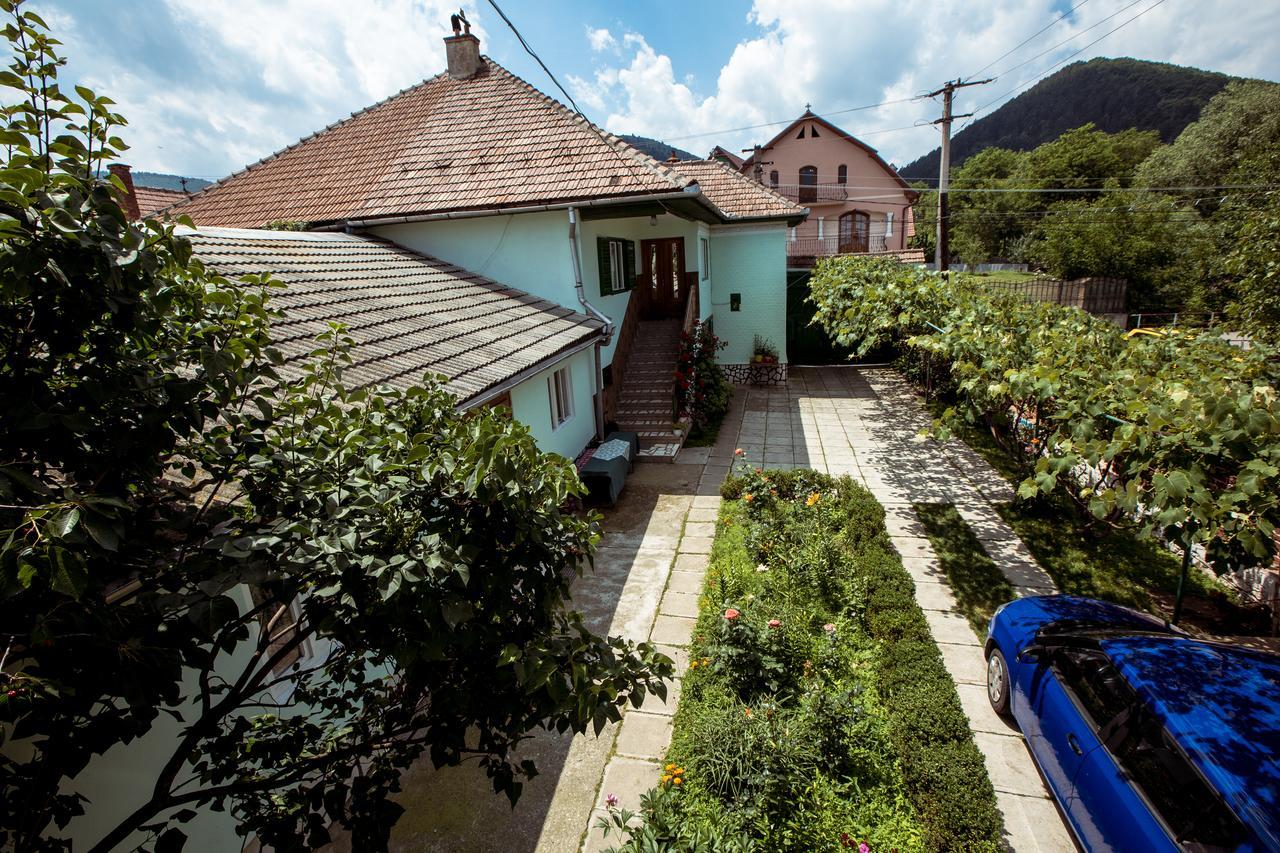Picturesque Village In Transylvania Răşinari Dış mekan fotoğraf